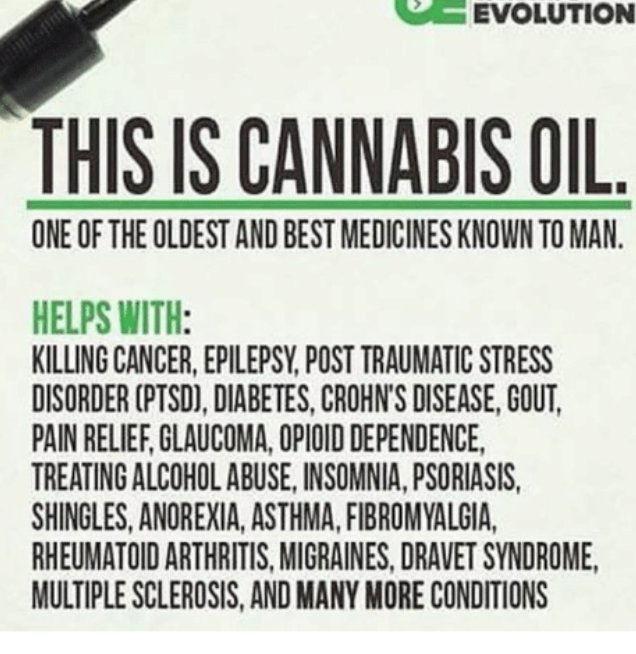 Cue music, "the more you know.."
.   .   .
bhangers #hemp #cbd #cbdheals #cbdcures #healersnotdealers #hempculture #cbdlife #flowerpower #herbal #medicinal #mmj #cbdlifestyle #allnatural