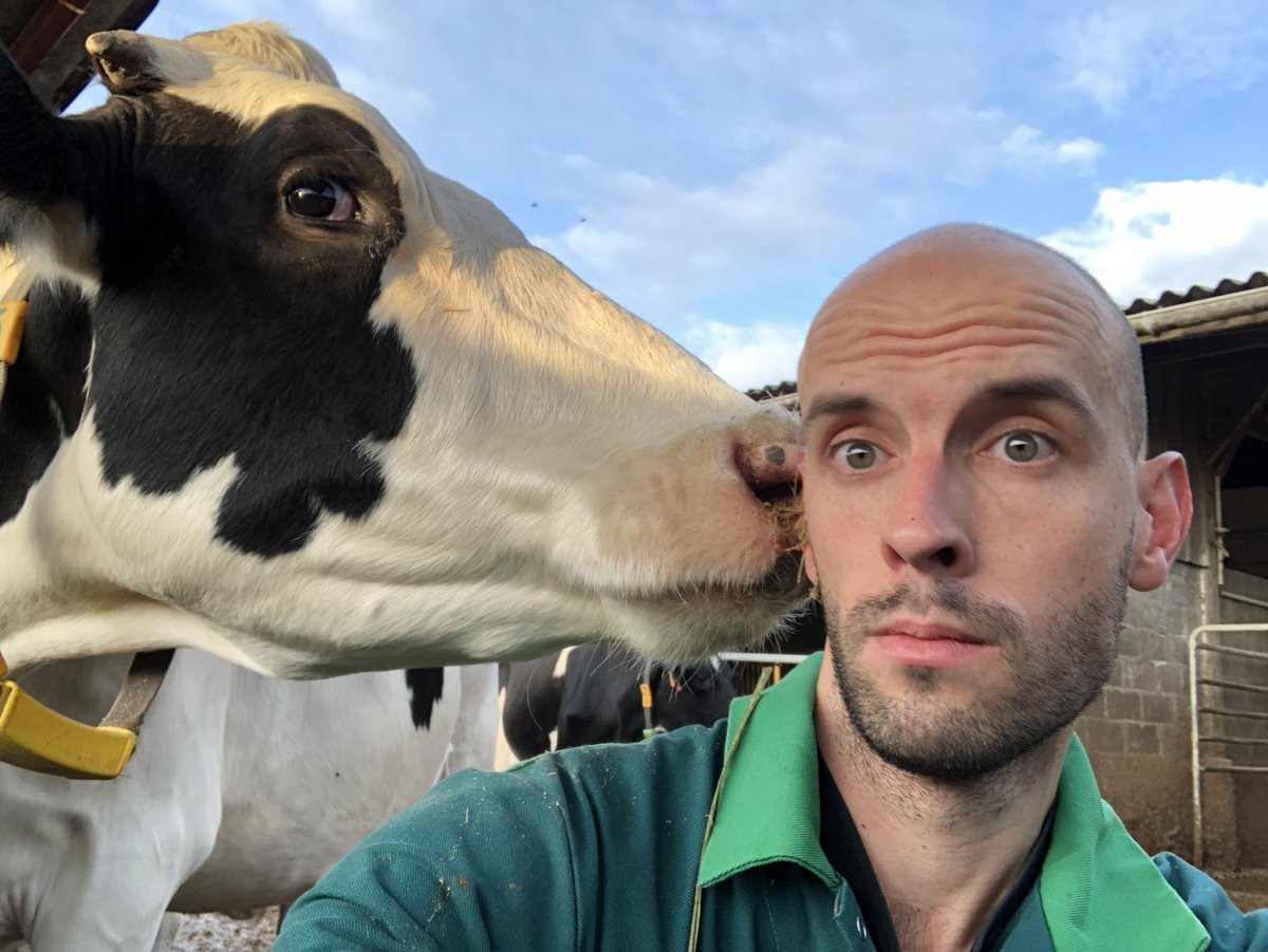 _VincentGuyot's tweet photo. On me signale dans l’oreillette que sur le #BienEtreAnimal en élevage, il y aurait davantage de vérités à montrer qu’à cacher 🙃🐄 @60millions https://t.co/amUHAeK2Dx