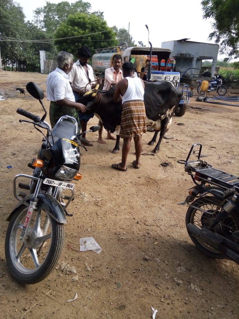 animals4vnr's tweet photo. The Rocal patti list was treated with the help of a government veterinarian without  a pepper for getting R P F pregnancy out of the pregnancy. https://t.co/ZJ5BjopXLh