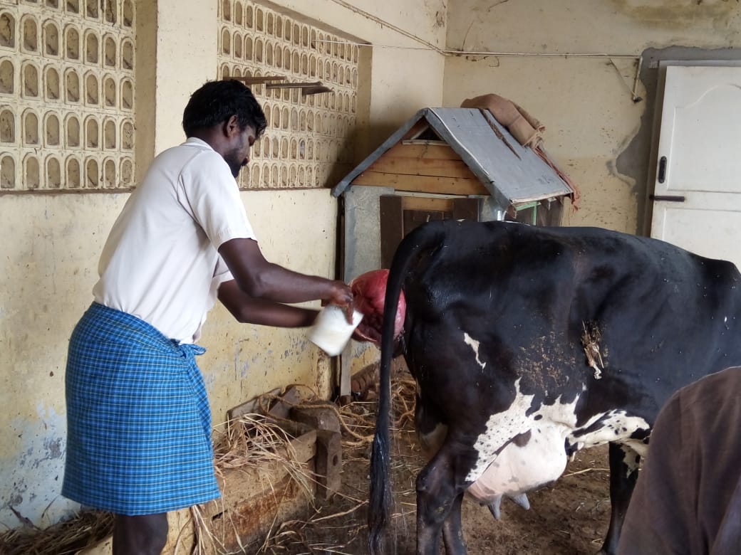 animals4vnr's tweet photo. The Rocal patti list was treated with the help of a government veterinarian without  a pepper for getting R P F pregnancy out of the pregnancy. https://t.co/ZJ5BjopXLh