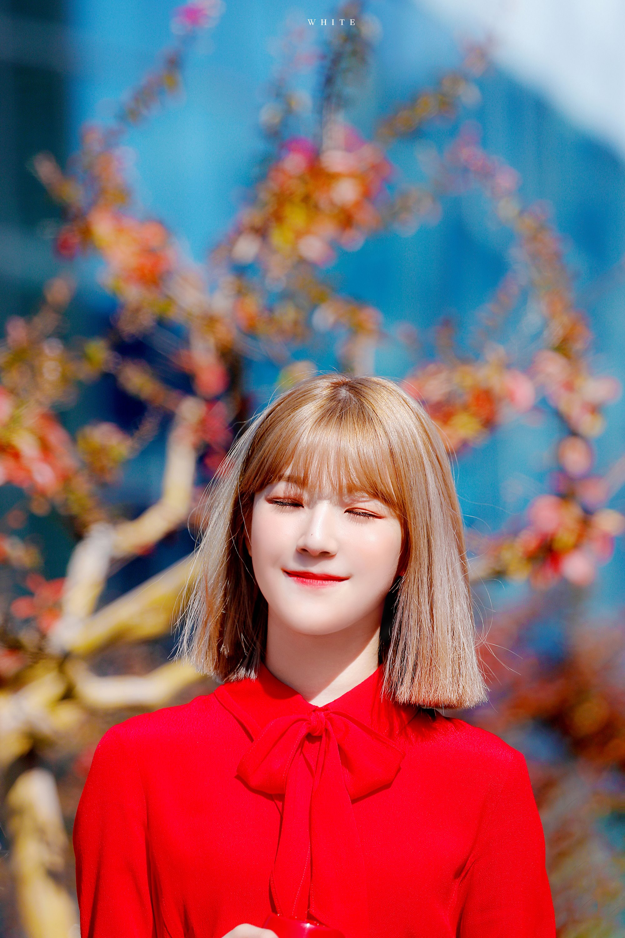 DpXwZ5XVsAAhWUt.jpg:orig