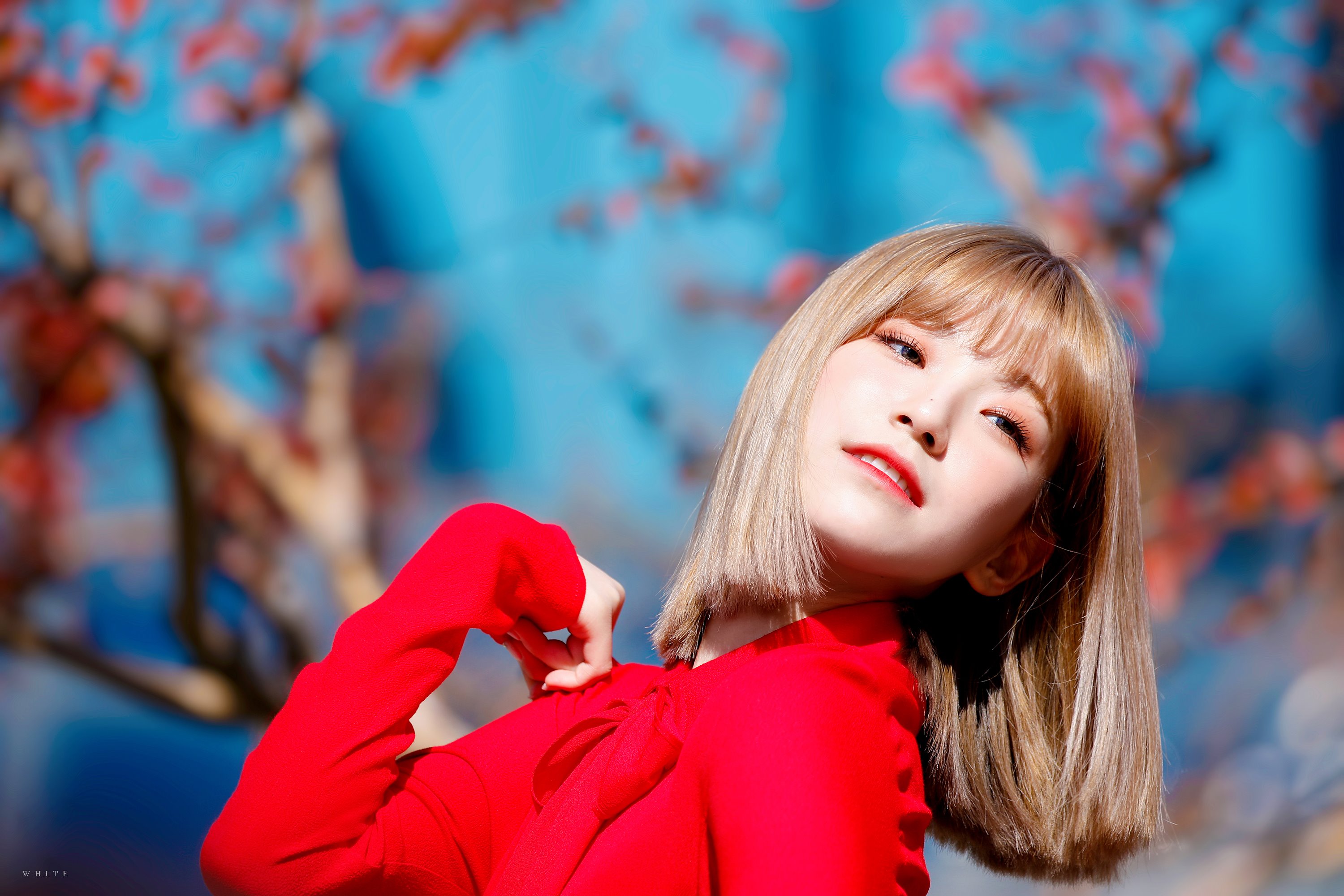 DpXwZpNUcAYzkRv.jpg:orig