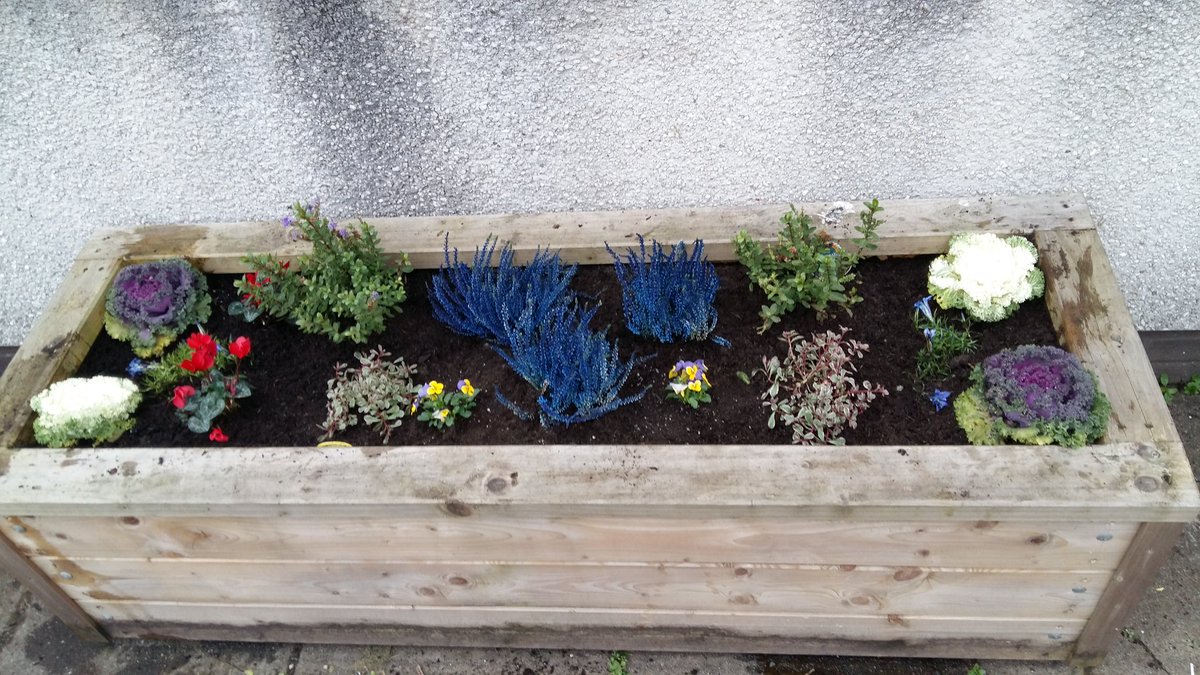 StMoChickBees's tweet photo. The #Horticulture students @St_Maurice_High designing and planting out our school planters #schoolgardening https://t.co/cPd9ATNrvK
