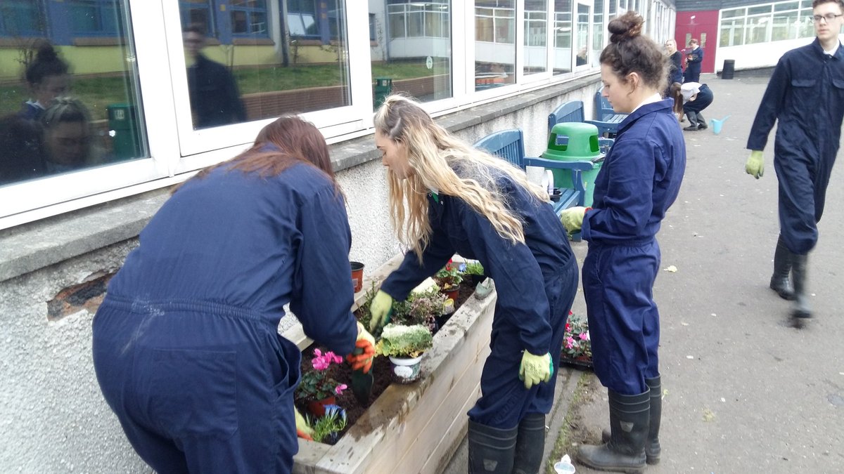 StMoChickBees's tweet photo. The #Horticulture students @St_Maurice_High designing and planting out our school planters #schoolgardening https://t.co/cPd9ATNrvK