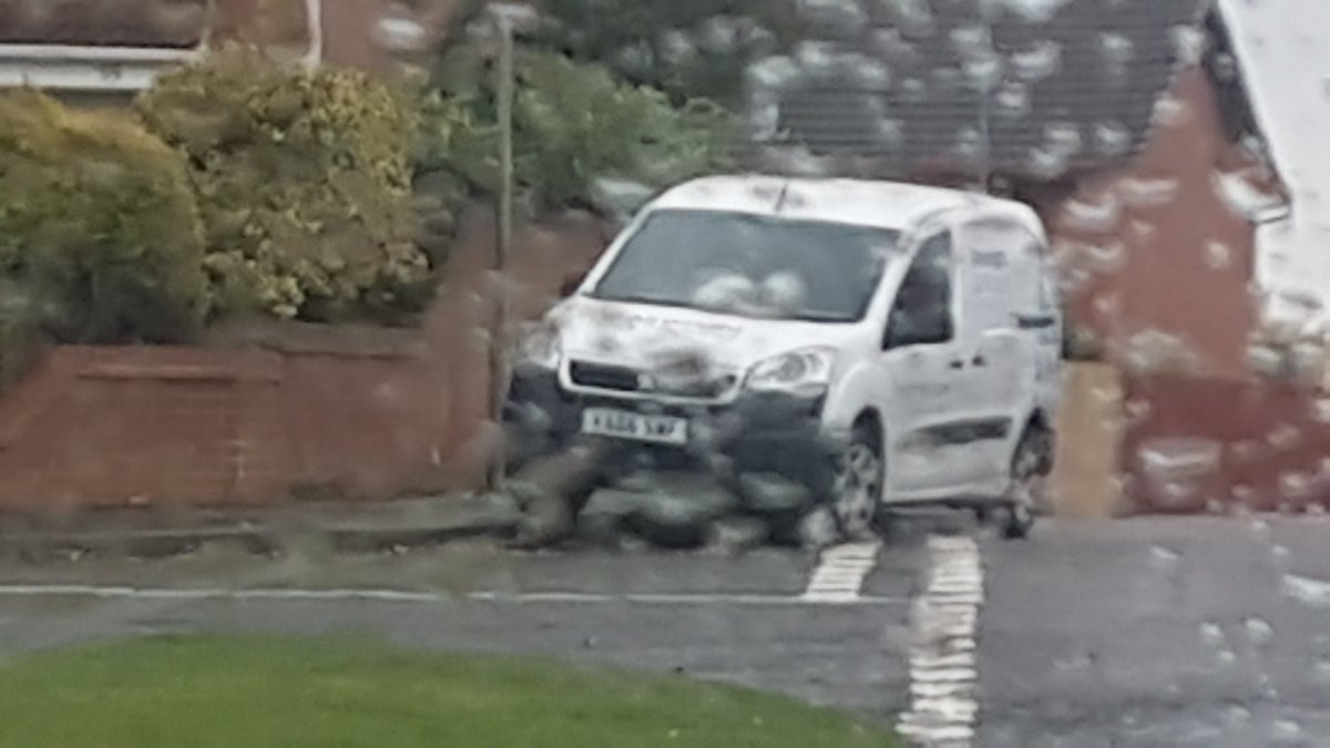 Dr Reg Plate tweet media