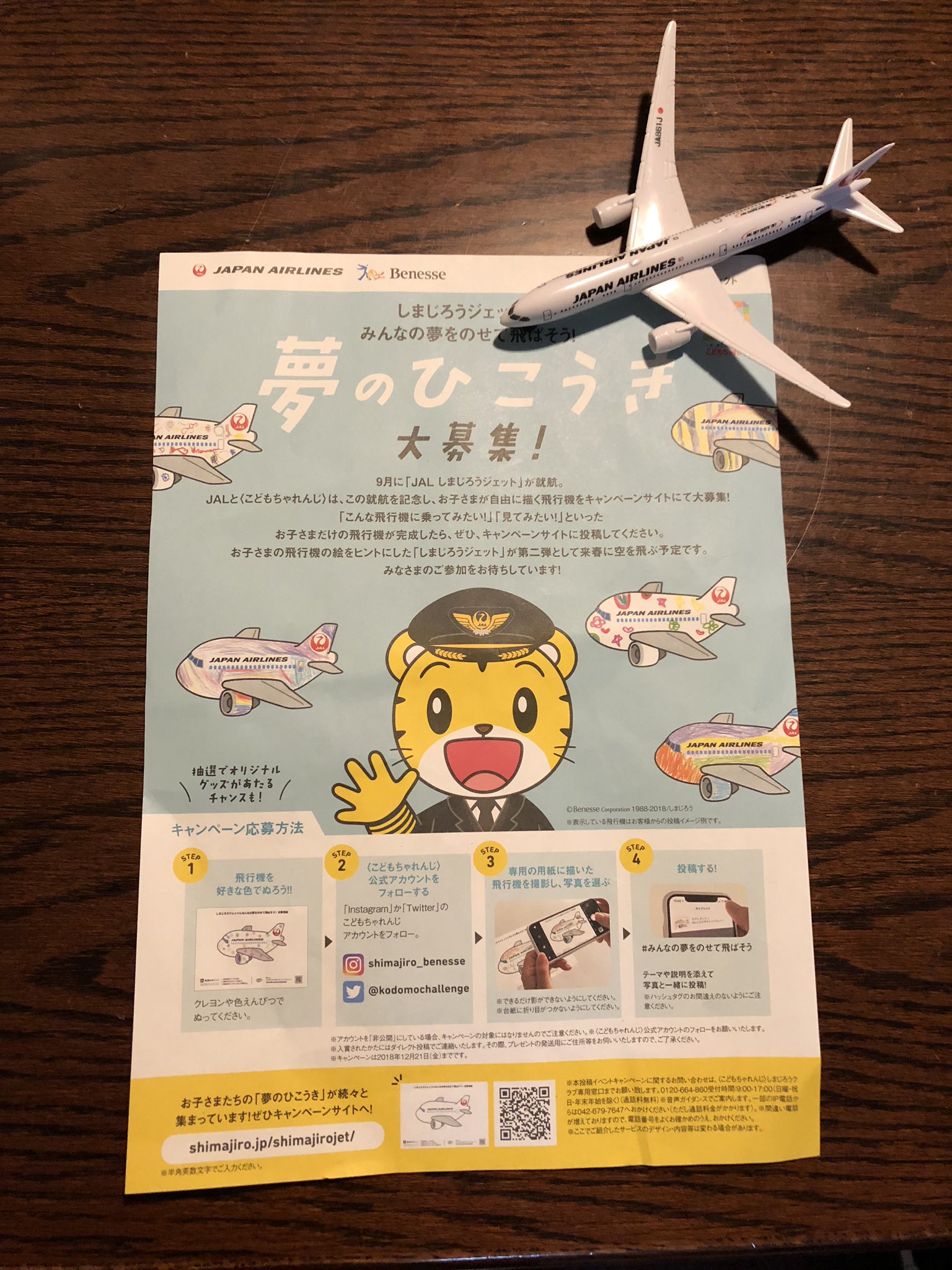 ワイの息子 Jalの 飛行機塗り絵 でとんでもない作品を生み出すｗｗ えのげ