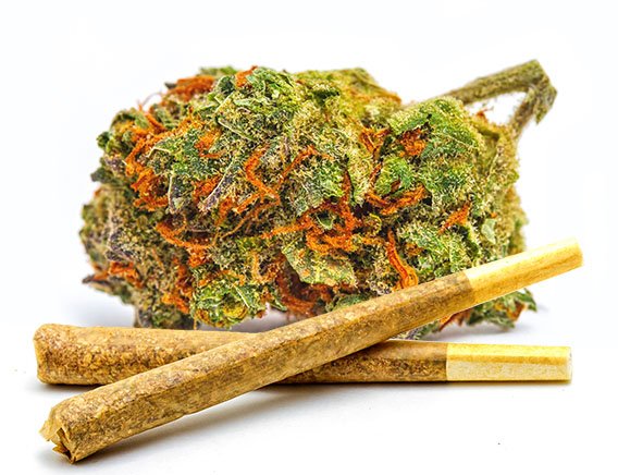 RevClinics's tweet photo. Did you know, if you place your order by 10am you could get same day delivery? Pop over to our menu, make your selection, and let us save you a trip. #medicalmarijuana #mmjdelivery #dispensary https://t.co/ZnT3yxSSdd https://t.co/9D9CfSa8AH
