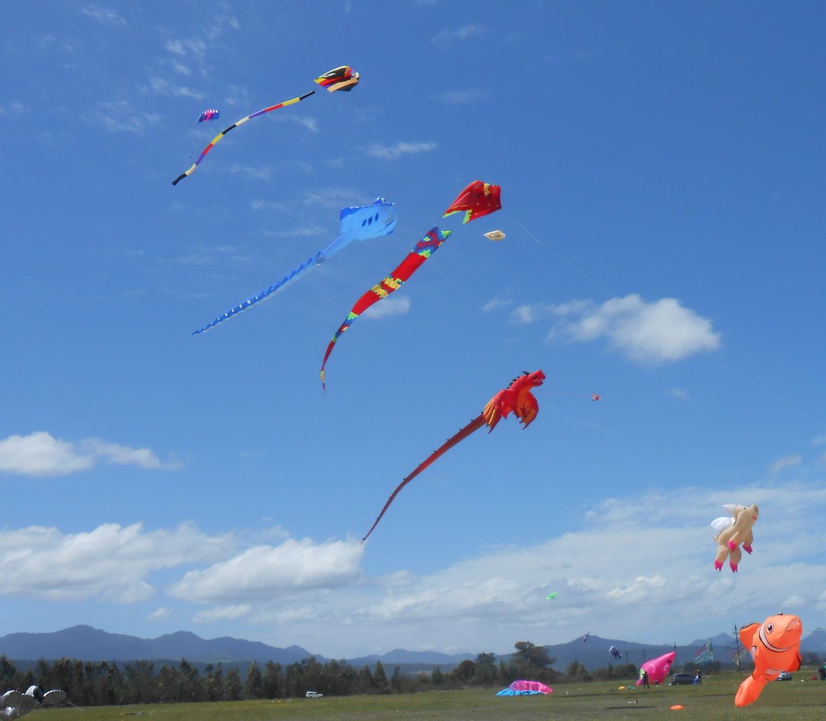 N2RS Garden Route tweet media