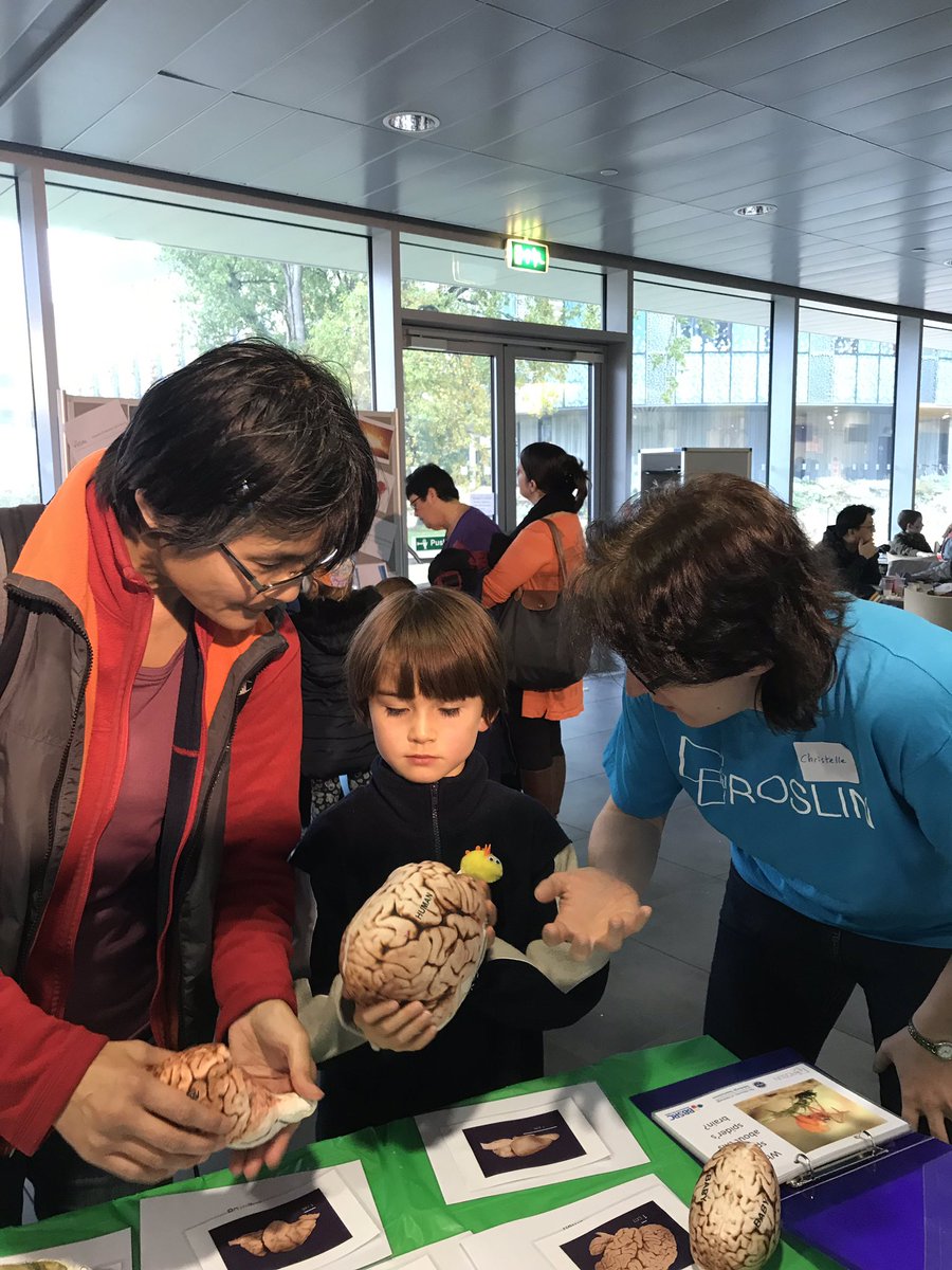 @chrissrobert #EBopen day <a href="/roslininstitute/">The Roslin Institute</a> rocking neurobiology outreach!