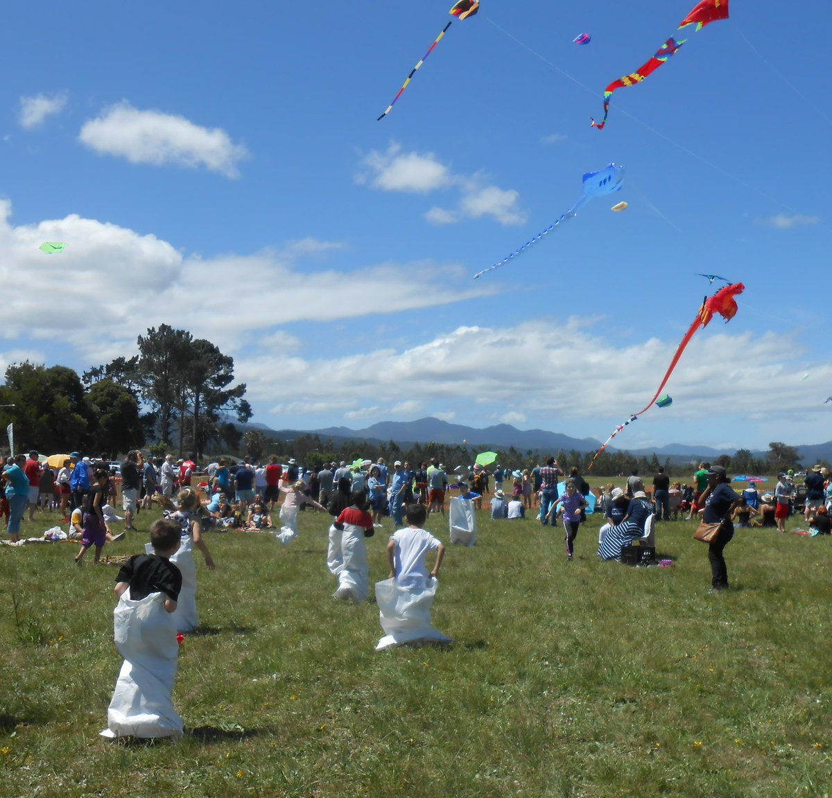 N2RS Garden Route tweet media