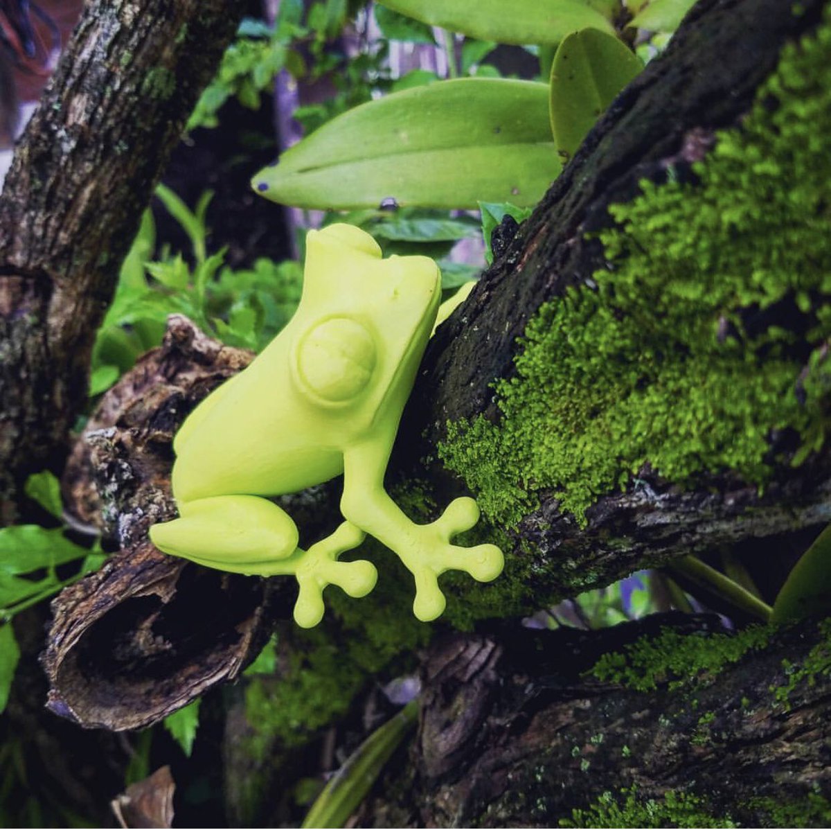 Prints gone wild!🌿
Check out this awesome #3dprinted tree frog. Printed using our PLA.
#meltink3d #filament #3dprinter #3dart #create #design