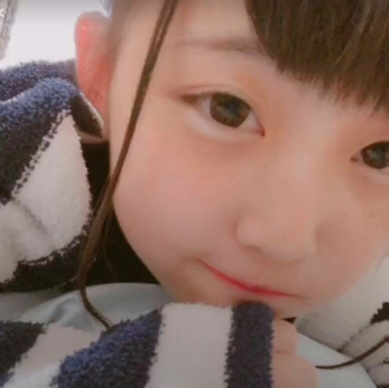 ゆずこた - Search / X