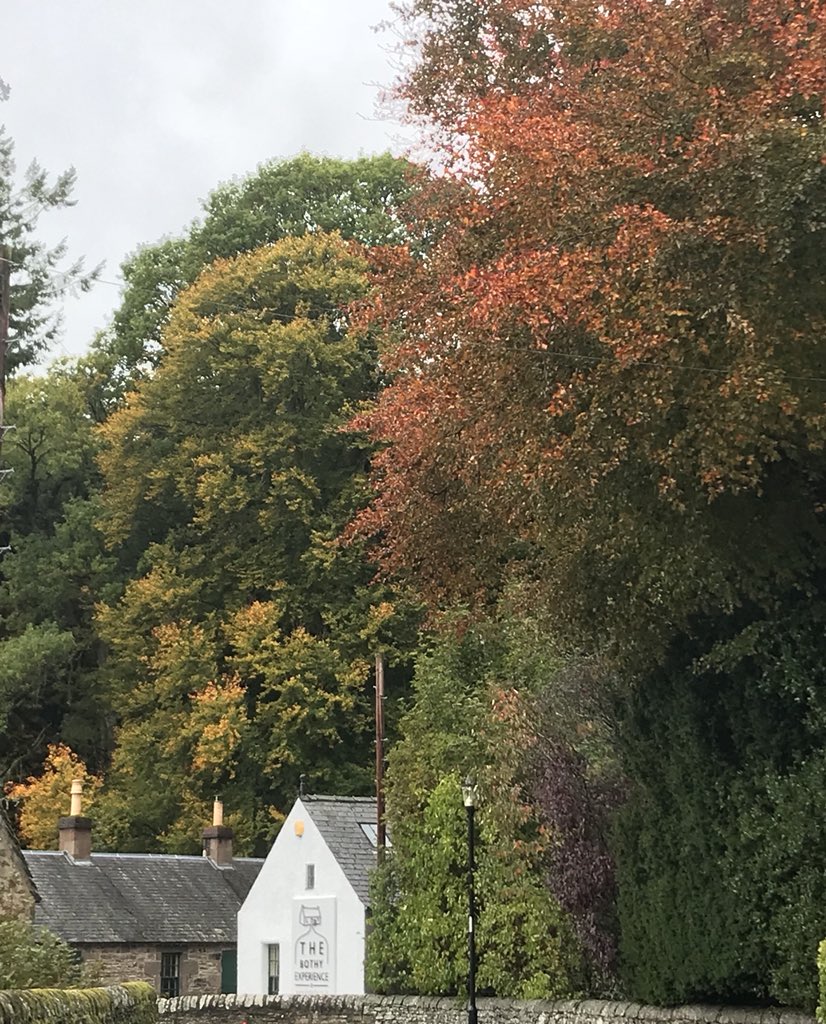TheGinBothy's tweet image. Fancy a wee Bothy trip this weekend? The trees at Glamis are beautiful today and we open 11-5 #perfectwalk #bothytales #escapetothecountry #glen