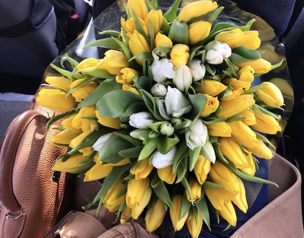 thekerensumi's tweet photo. #myFav #tulip #kerensumi #HappyWeekend #lifeisbeautiful2018 #liveyourpassion https://t.co/o1wqa5GuK2
