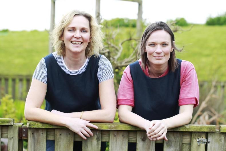 Bean and Goose (Beanandgoose) Twitter