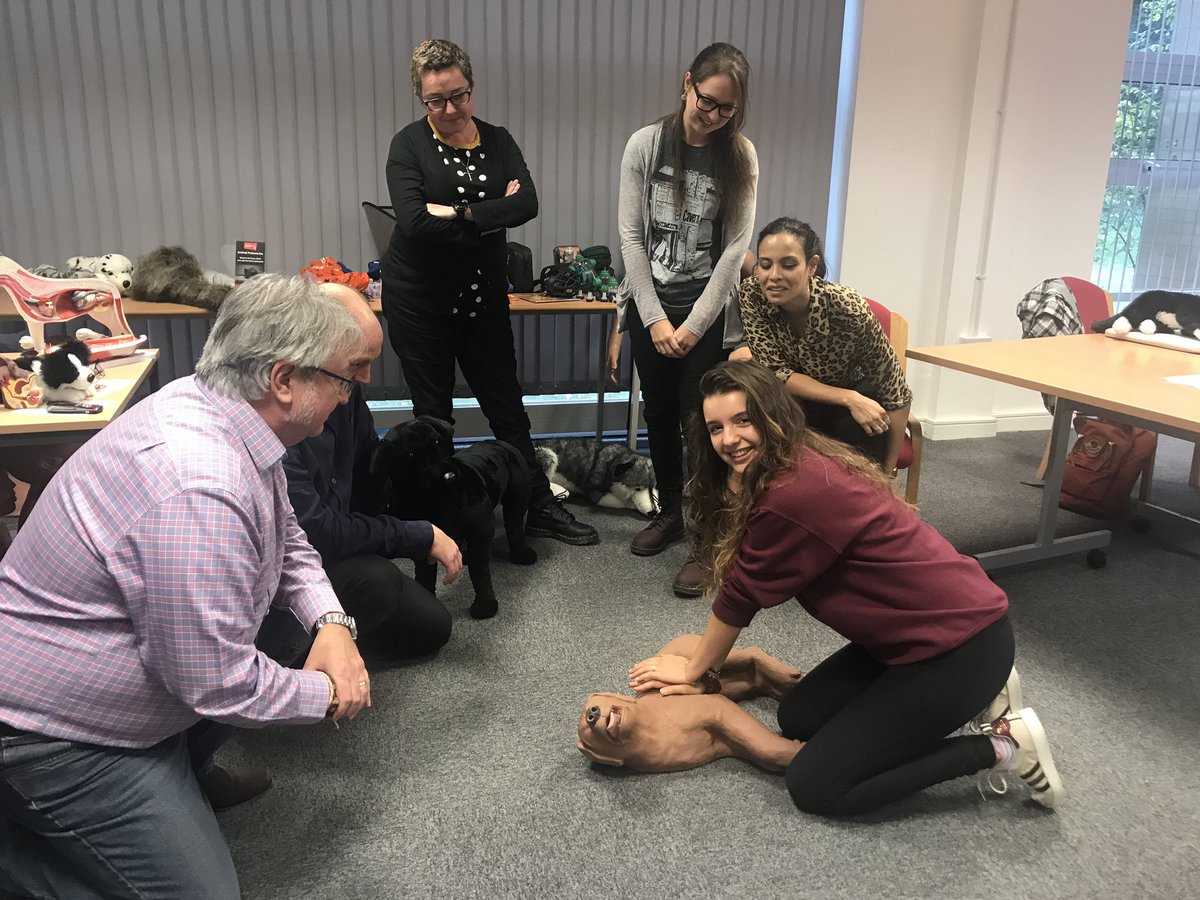propetfirstaid's tweet photo. Annie Levy a fully qualified (BsC) Dog Behaviourist gained her pet first aid Instructor qualification with #protrainingseu Covering Essex, East London and Cambridge. See https://t.co/PLjjhu8Zb7 for details’ #petfirstaid #propetfirstaid https://t.co/CGUWHTNHVh