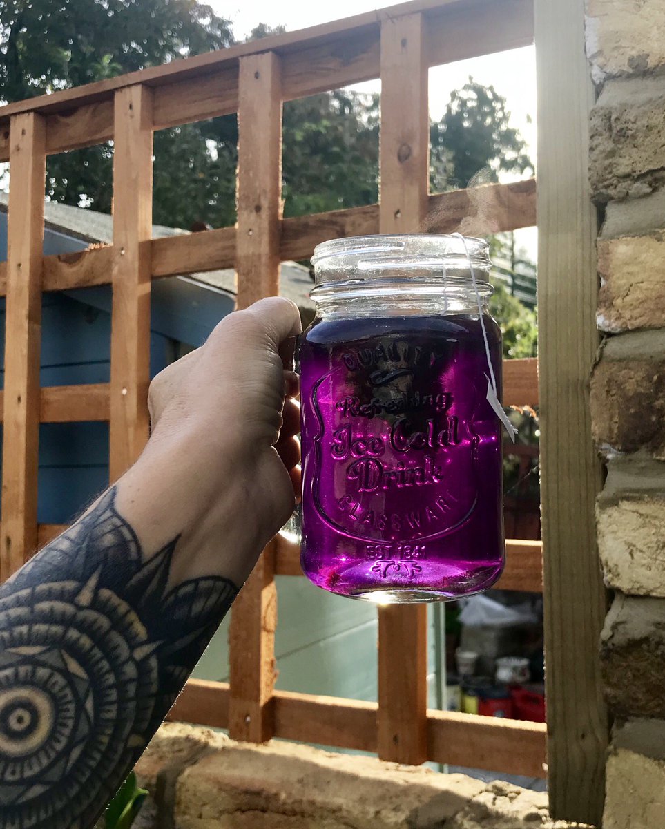 RadugaTeas's tweet photo. Isn’t it great when something that’s good fot you, tastes fantastic too? #RoyalTEA Indigo is packed with loads of health-boosting, super-tasty ingredients from rose hip and hibiscus to butterfly blue pea flower. #rainbow #SaturdayMorning https://t.co/FHJRtFA8sD