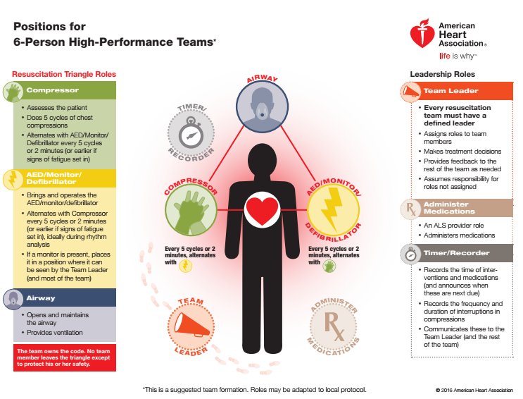 F1 pit crew the typical display of effective team dynamics. #RCSAZA