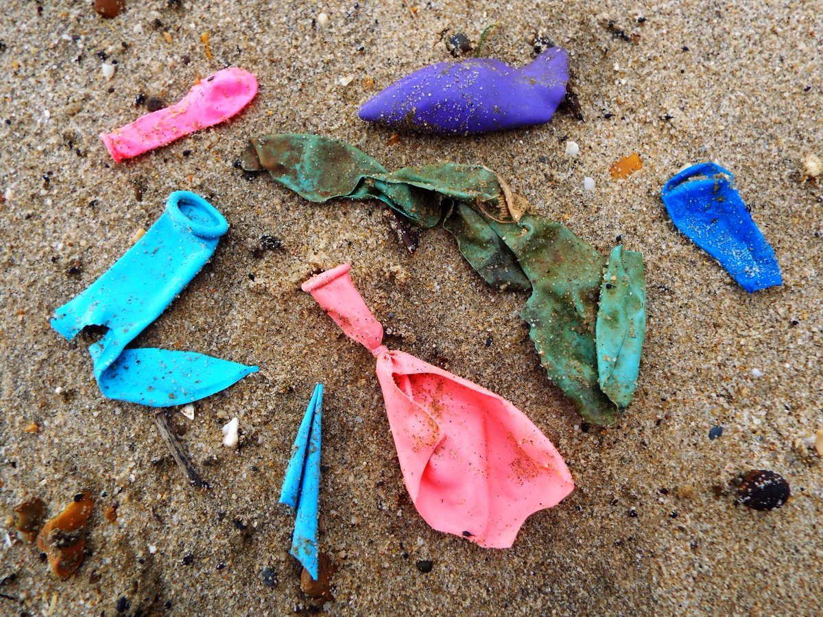 Seasaver's tweet image. If you can collect this much balloon litter on a short walk on Bournemouth beach this morning, how many animals are ingesting this lethal pollution? #plasticpollution #balloonsblow