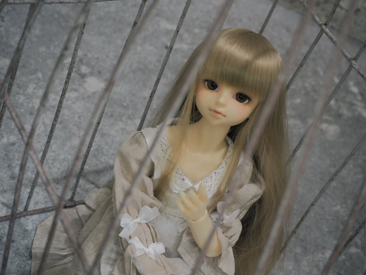 Soracolorfull's tweet photo. 籠の鳥はもう辞めるの。
#SDM32
#MSD32 https://t.co/JhGImgkC0f