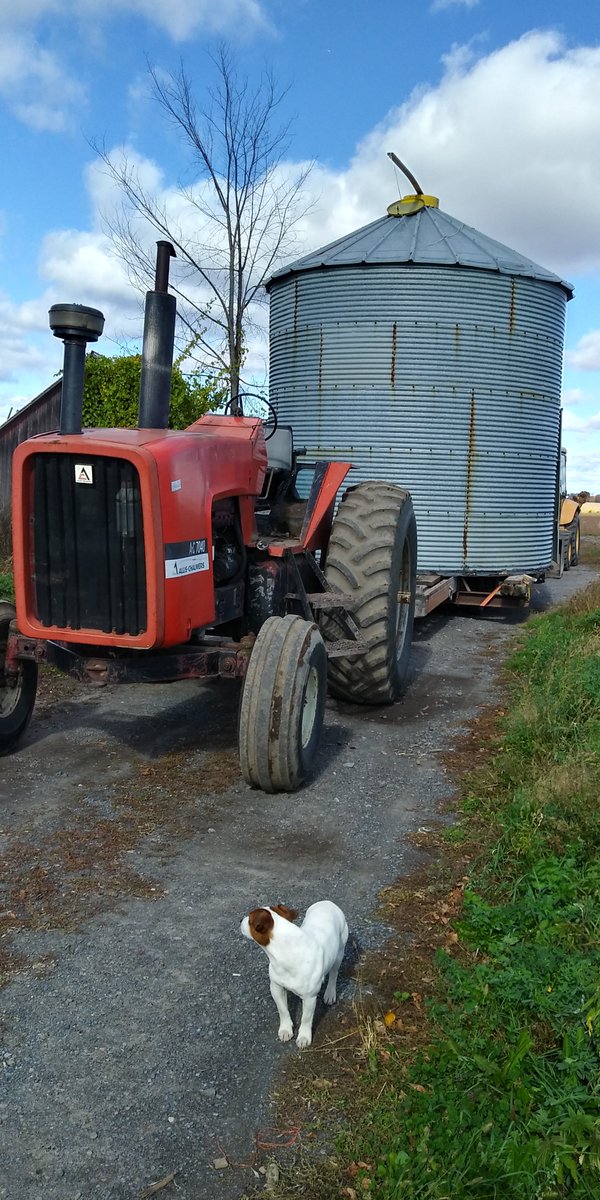 rip_vg's tweet image. cleanup time, off to a new owner !!!  competition for @tenwattandrew 
Now only the stone house left.