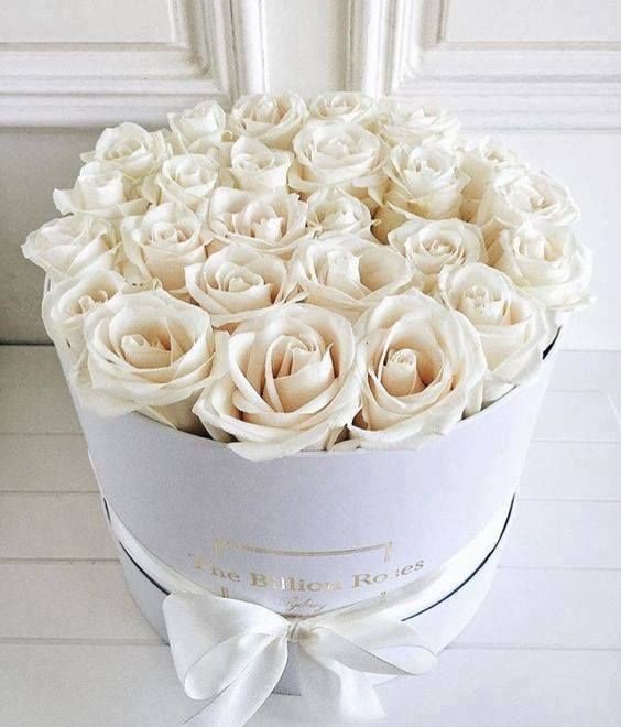 FURIN2XCLUB's tweet photo. .คาบถังดอกไม้เดินเข้ามาวางหน้างาน #สิ้นคิดพากินรอบโลก ผมเลขาจาก #ฟูรินคะซันโฮสต์ ขอแสดงความยินดีกับการคัมแบคของสิ้นคิดด้วยนะครับ ขอให้กิจการรุ่งเรืองขึ้นเรื่อยๆเลย https://t.co/yPYutXJoAV