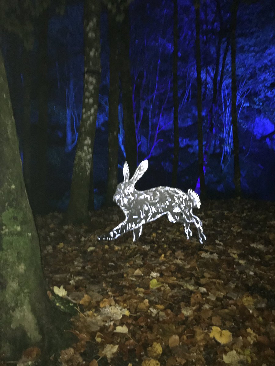 K8ABell's tweet image. An amazing night of music, extraordinary lighting and wonderful storytelling at the #EnchantedForrest      A feast for the senses in Pitlochry