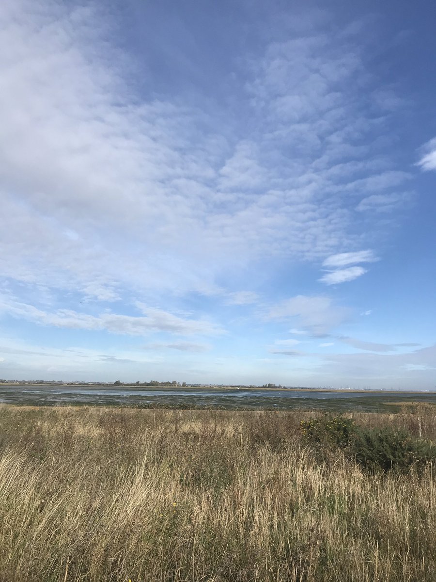 FarmFrinton's tweet image. Lovely day on the Kirby marshes