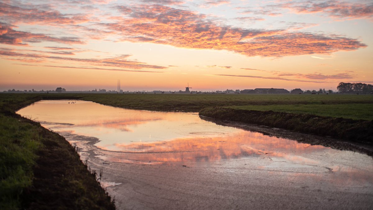 Zonsopkomst bij roelofarandsveen

<a href="/WNLVandaag/">WNL Vandaag</a> <a href="/LisetteWellens/">Lisette Wellens</a> @maaikheid