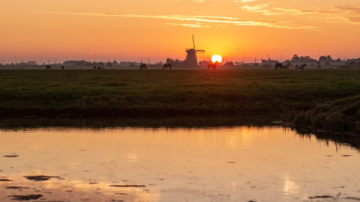 #SuperHolland 

<a href="/WNLVandaag/">WNL Vandaag</a> <a href="/LisetteWellens/">Lisette Wellens</a> @maaikheid