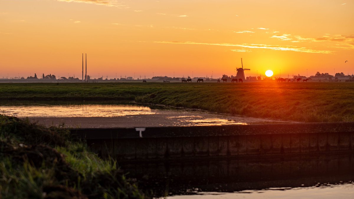 wanneer de zon opkomt🤗 voor de nieuwe week.

<a href="/LisetteWellens/">Lisette Wellens</a>
<a href="/WNLVandaag/">WNL Vandaag</a> @maaikheid