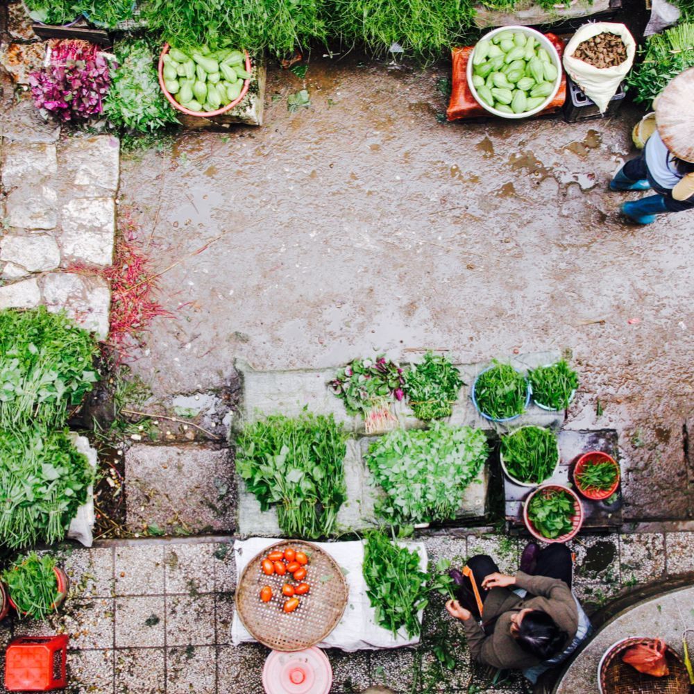 DrKristieLeong's tweet image. #Health is like a garden. Seeds, like our bodies, have the capacity to grow &amp;amp; flourish if we supply them with the proper elements. Cultivate your own garden of health w/good #nutrition, sleep, #stress management, &amp;amp; movement.