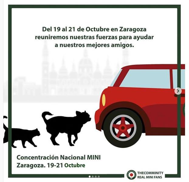 AntonioDomingo's tweet image. Tiene 4 patas, es divertido, fiel y te hace feliz cuando le sacas de paseo. No, no es el MINI está vez. El próximo fin de semana reuniremos a los fans de todo el país para ayudar a... #thecomminity #realminifans 
#adoptdontshop bit.ly/2yedd08