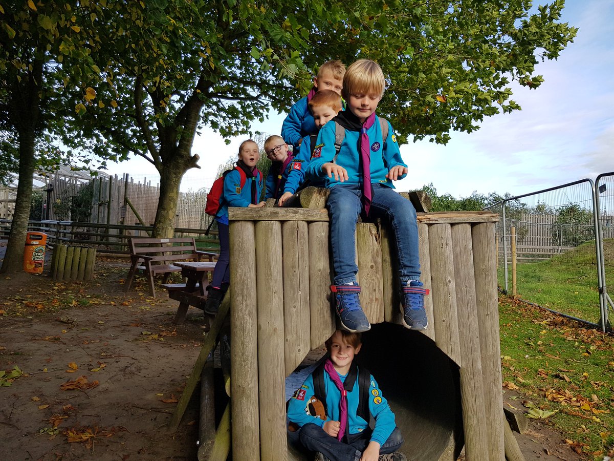 fullwellws's tweet photo. #KentbeaversgoWILD
@KentBeaverScout 
@WinghamWildlife https://t.co/6EtB03o948
