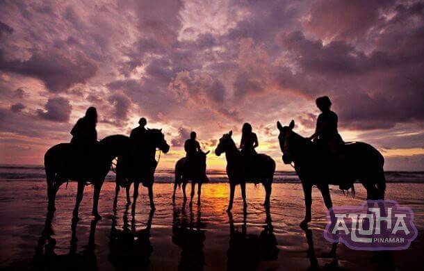 UnLugarPinamar's tweet photo. Excursiones Inolvidables! 🌞
Atardecer y Cabalgata 🐴 por la Orilla del Mar 🌊
#ViajamosTodos #Viajaconaloha 🏝 
No te quedes sin tu viaje con Amigos 🏄 
Pagalo en Cuotas y Sin Interes! 💳 InfoWapp  
https://t.co/rEW7QQNbmO 
📲 1158216553 https://t.co/WwYqt3ajlc