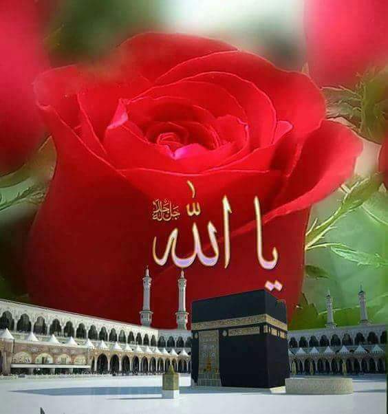 ربي هب لنا قلوبا مطمئنة لايؤذيها بلاء الدنيا