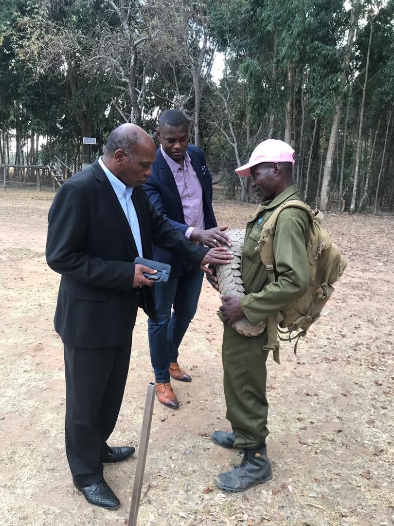 Chief Executive @karikogakaseke visits Wild is Life which is a Wildlife Sanctuary. With a fusion of humanity & wildlife, the sanctuary is a haven of comfort and seclusion, calm & dignity. #ResponsibleTourism #iluvZim