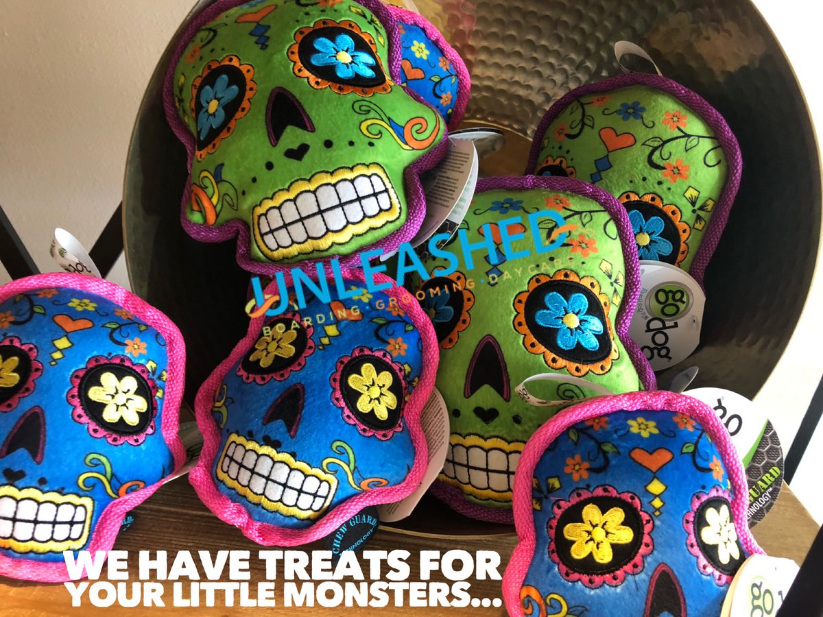UVHvets's tweet photo. Come get these while Unleashed has them.... open M-F 7-6 and Sat 7-4, and Sunday 9-11 and 4-6! We have great trick or treat items for cats and dogs! #unleashed #youready?? #sugarskulls #boo #littlemonsters https://t.co/I5Lbz75kJf