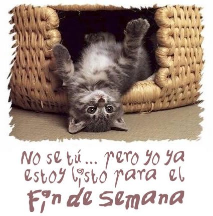 Datantacom's tweet image. #BuenSabado  #FelizSabado  #BuenFinde  #FindeLargo  #FinDeSemana  #BuenosDias  #BuenDía  #BuenDia 
Busca amigos por el mundo en datanta.com . Animate es gratis!