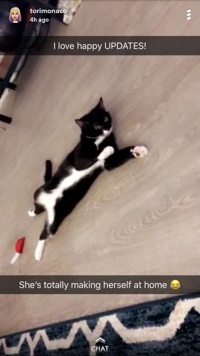 beyshae's tweet image. #SnapUpdate Dino&apos;s cutie self..💕❤ @Toorriiiiiiiiii @BerkleyCade