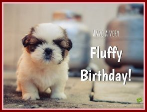 To a special kitten on her special day <a href="/Ehssence/">Ehssence</a>