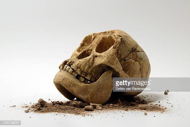 Самый древний череп человека. Череп древнего человека и современного.