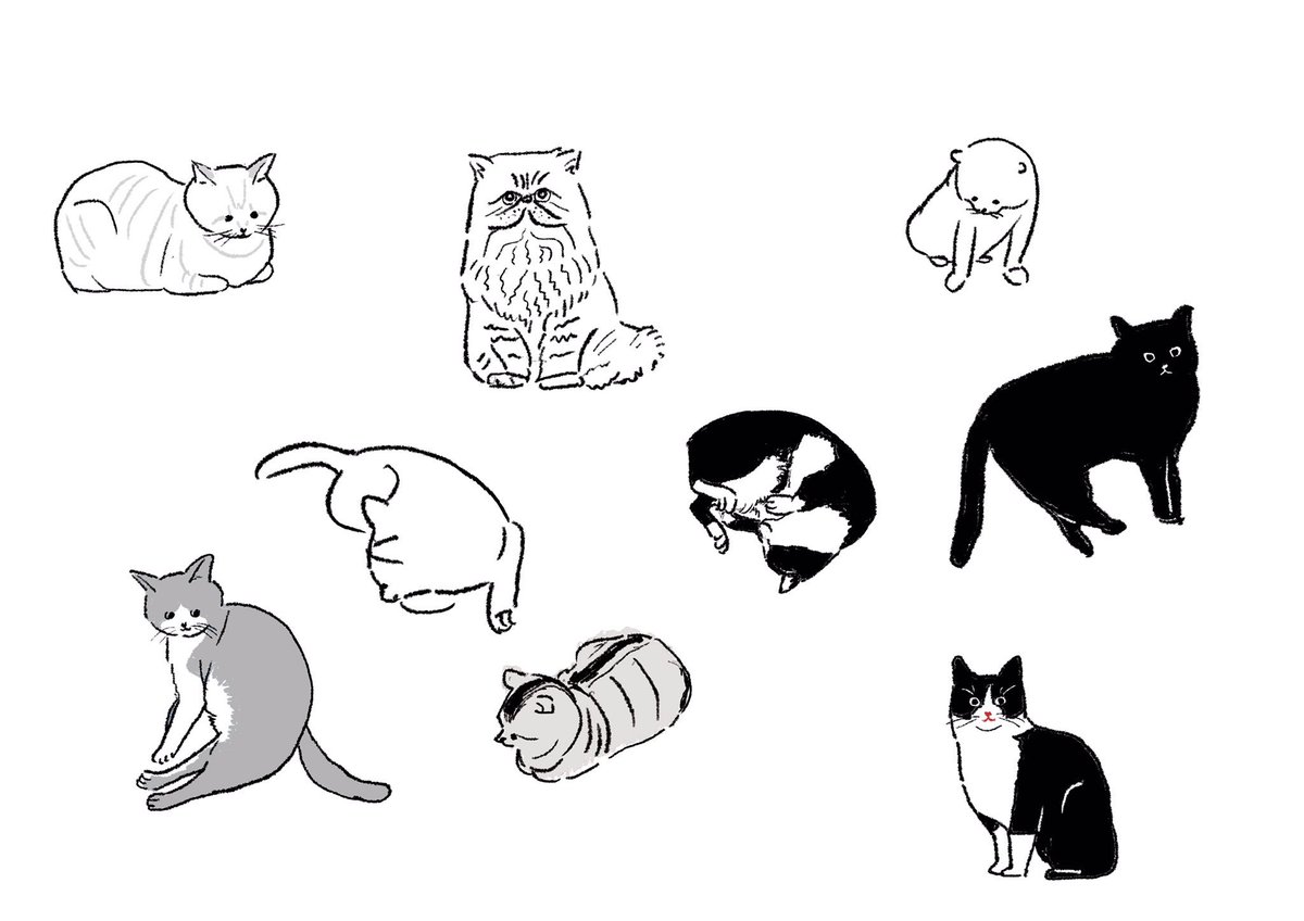 猫さん...!!
#illustration
#ねこ  #cat 