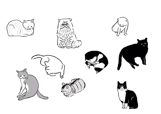 猫さん...!!
#illustration
#ねこ  #cat 