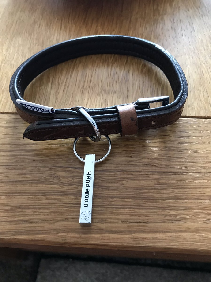 The humans have got me a new collar and tag, ready for my walkies in a couple of weeks. They think I’m trouble now, wait till I get out there in the big world 🌎