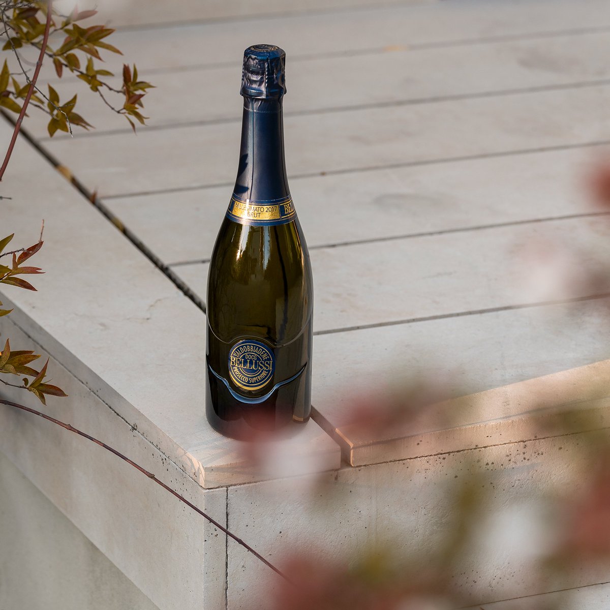 L’autunno è più frizzante con il nostro prosecco!
Avete già provato il nuovo Bellussi Millesimato Brut?