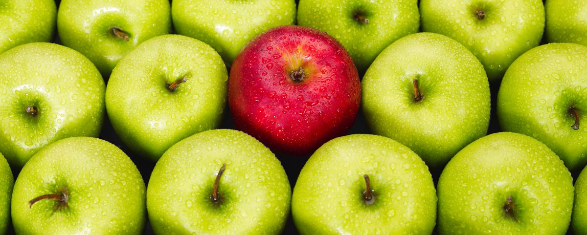 breadbrosbakery's tweet photo. More farm fresh apples are coming on the 24th! We will have DELICIOUS Fuji, Granny Smith, and Rome Beauty apples! Call us today! #farmfresh #farmfreshproduce #healthy #healthyapples #juicyapples #localproduce #bestproduceever #bestbakeryinmesa #bestbakeryinphoenix https://t.co/zEIsxFbzva