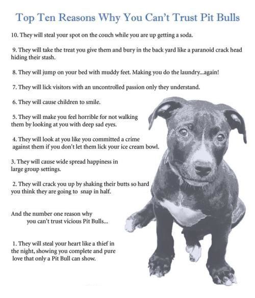 Animal Hub tweet media