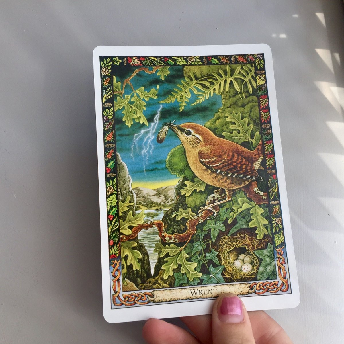 EddisonBooks's tweet image. Wren (Drui-en) allows us to glimpse the beauty of God or Goddess in all things. He tells us that ‘small is beautiful’, and that self-realization lies not in grandiosity or apparent power, but in humility, gentleness and subtlety.
 #druidanimaloracle
Buy: buff.ly/2OQgP1T