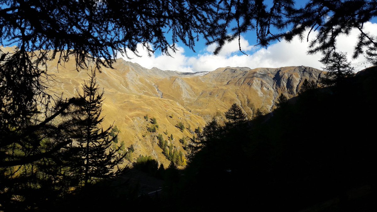 CeBuffetEymard's tweet photo. Magnifiques couleurs d'automne à Arrondaz... @Valfrejus https://t.co/Mww6wGicos